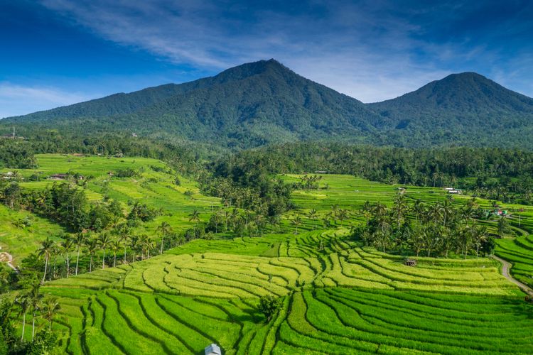 West Bali & Pemuteran — private Bali tour